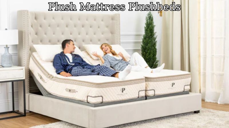 Plush Mattress Plushbeds​